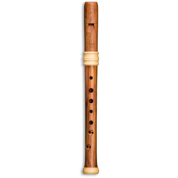 DREAM-Edition Soprano Recorder by Mollenhauer