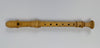 Used Aesthe Soprano Recorder