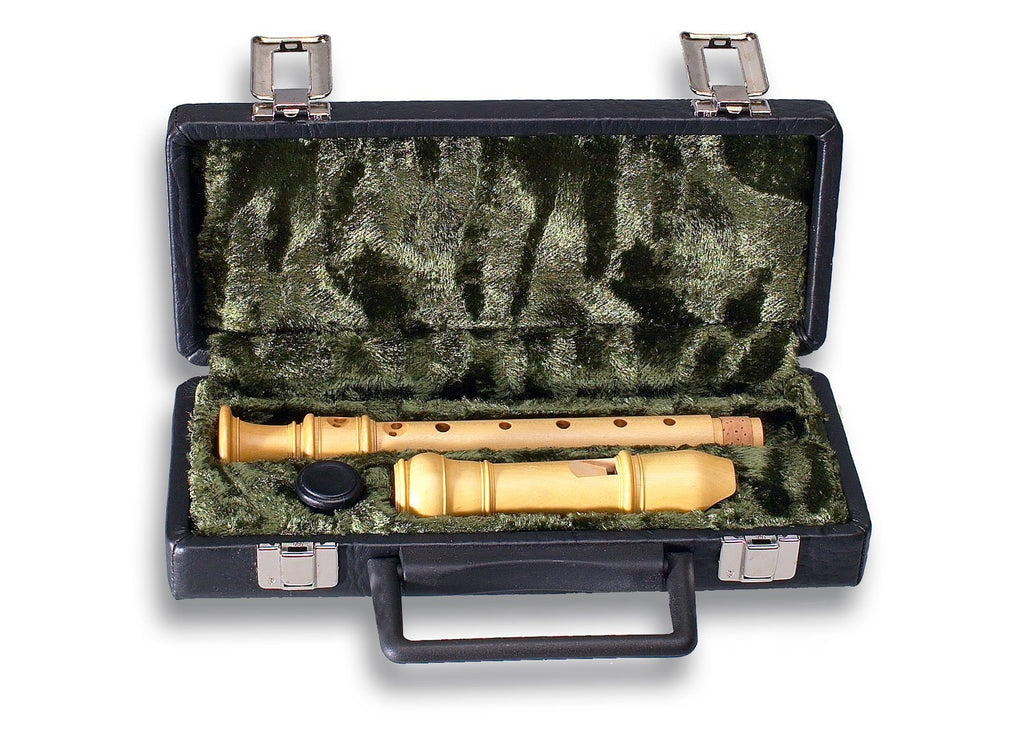 Hard Recorder Case with Artificial Leather by Mollenhauer | Lazar's ...