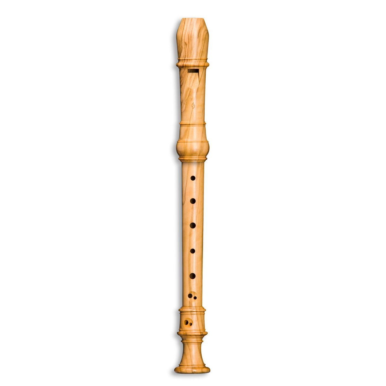 Recorder Instrument