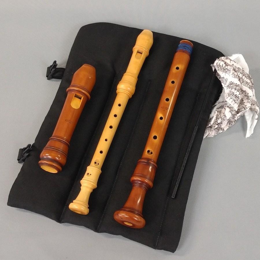 Tenor Recorder Case by Canzonet | Lazar's Early Music