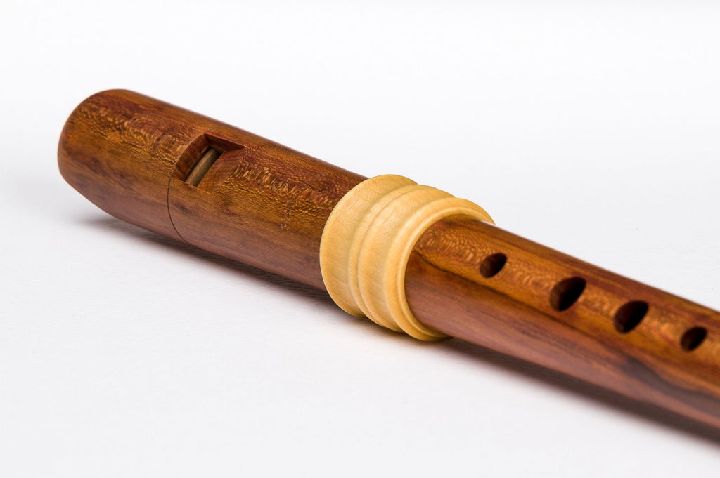 DREAM-Edition Soprano Recorder by Mollenhauer | Lazar's